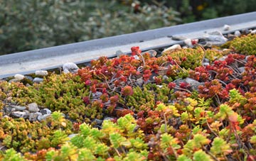 the cost of Clachan Of Campsie green roof installation
