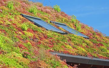 Clachan Of Campsie living roof systems