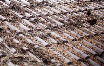 Clachan Of Campsie roof cleaning companies