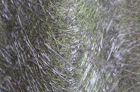 Clachan Of Campsie fibreglass roof work